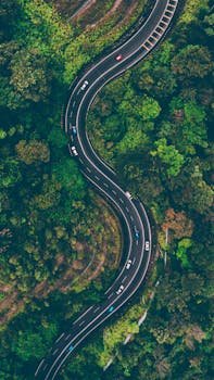 Coorg Car transfer A sweeping aerial view of an S-shaped road winding through vibrant green Malaysian forest.