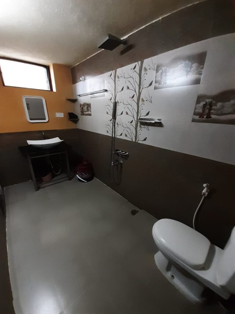 toilet resized